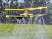 Prenatal exposure to ambient pesticides within 2